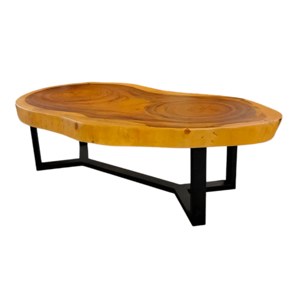 TABLE-2501 雙心木摩登餐桌