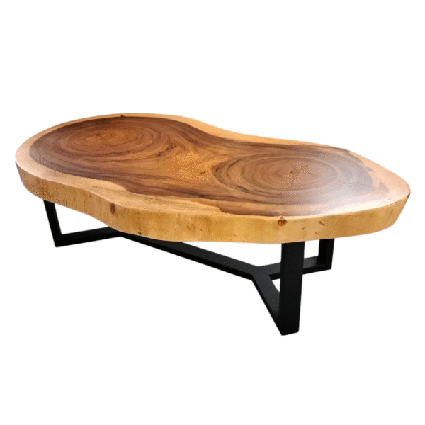 TABLE-2501 雙心木摩登餐桌
