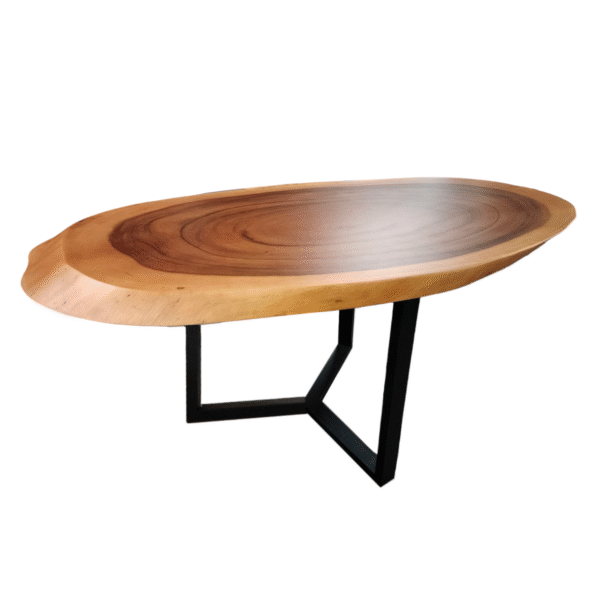 TABLE-2502 單心木摩登餐桌