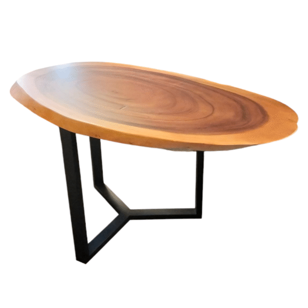 TABLE-2502 單心木摩登餐桌